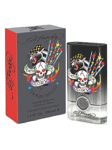 MS Born Wild Ed Hardy by Christian Audigier – for Men