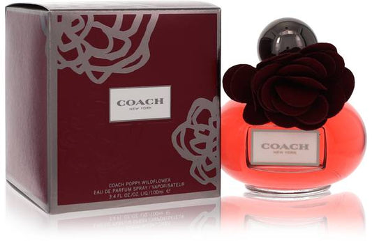 W Poppy Flower by Coach – for Men